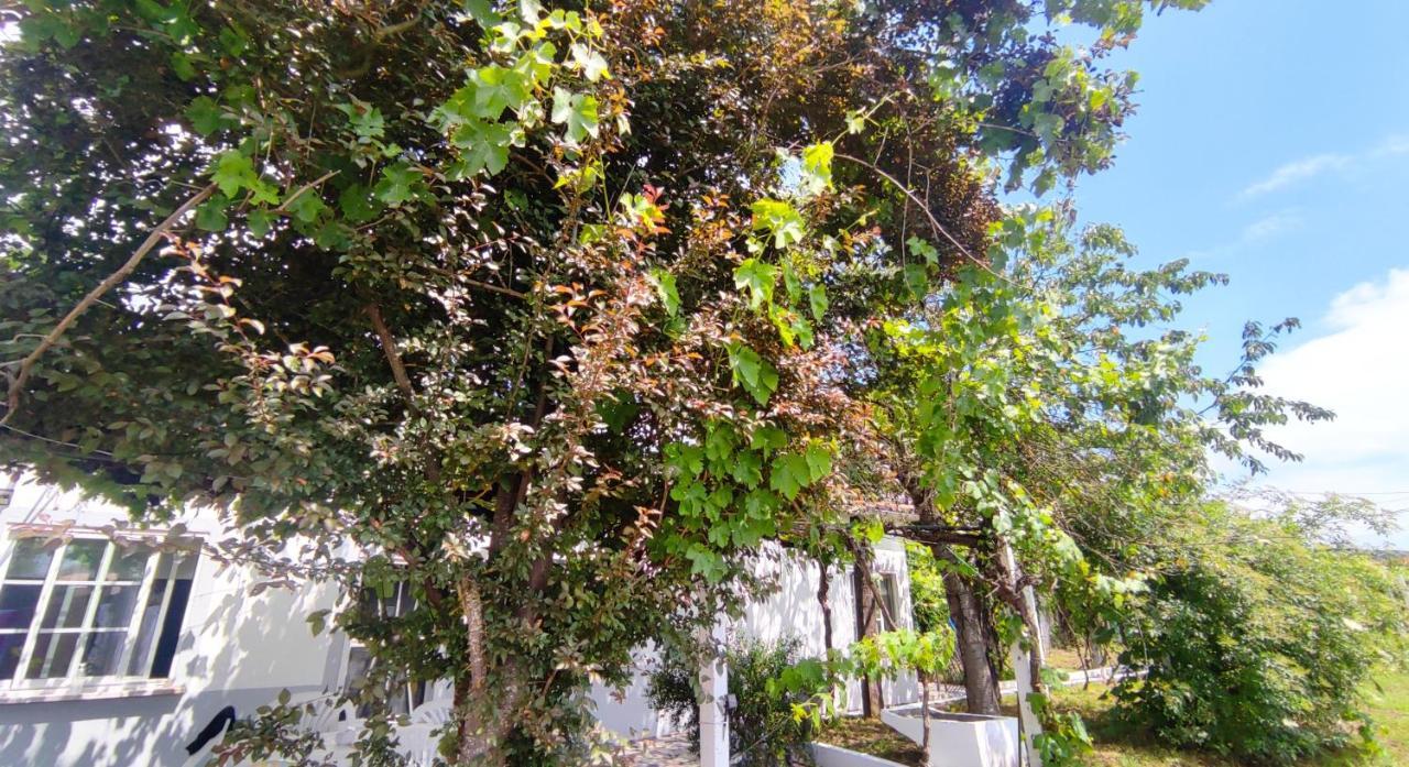 فيلا Morin Grey Casa En El Corazon De La Ribeira Sacra مونفورتي دي ليموس المظهر الخارجي الصورة